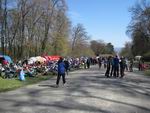 DM-Sprint-177.jpg